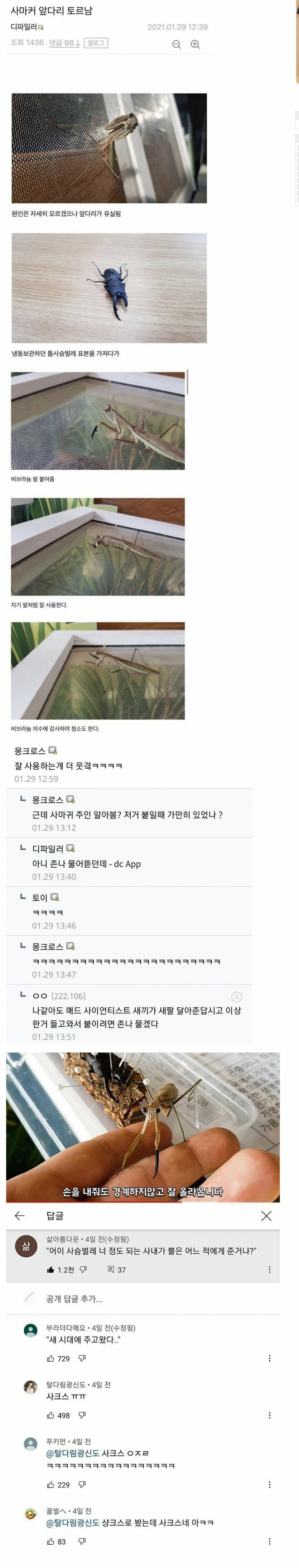 e_s0b1e9a001_61af93c8e6db4924878ab89d0ce455327b359c70.jpg 사마귀에게 비브라늄 팔을 이식해준 디씨인...jpg