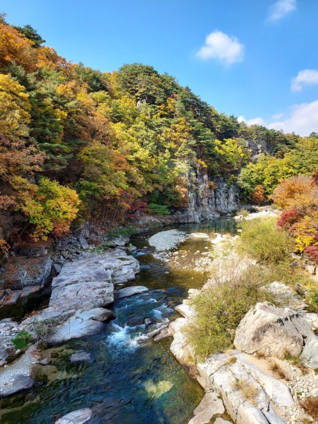 IMG_6595.jpeg 무주사는 사람입니다