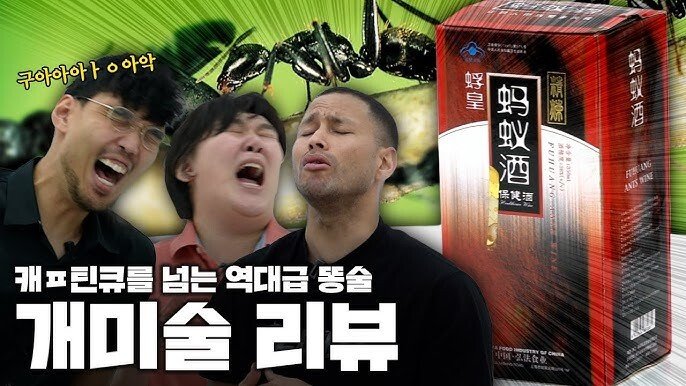 전태풍6.jpeg 의외로 미국 농구 국대까지 해본 유튜버