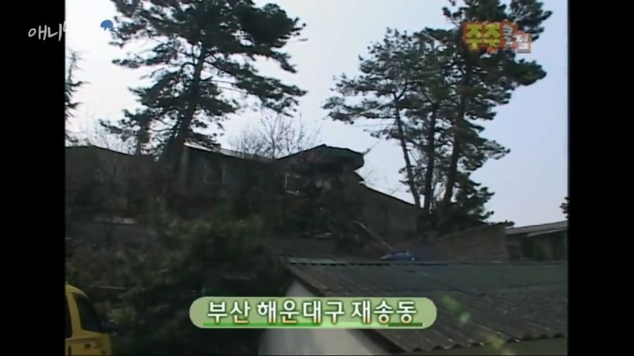 9.jpg 광기의 2000년대 부산...