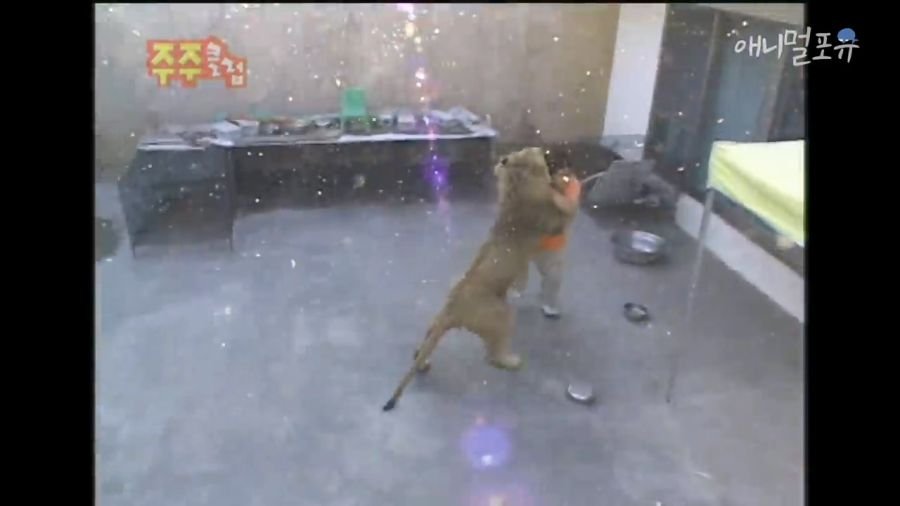 3 (1).jpg 광기의 2000년대 부산...
