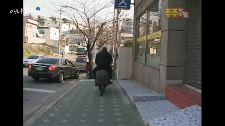 11.jpg 광기의 2000년대 부산...
