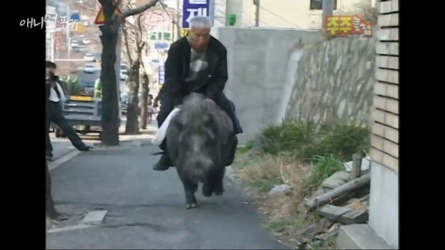12.jpg 광기의 2000년대 부산...