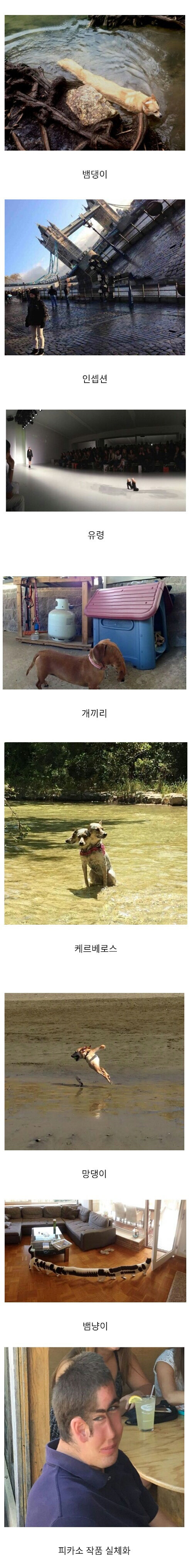 3bf7cc7e7e4d63e.jpg