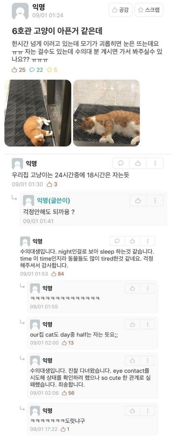image.png 에타에서 전문용어 남발하는 수의대생