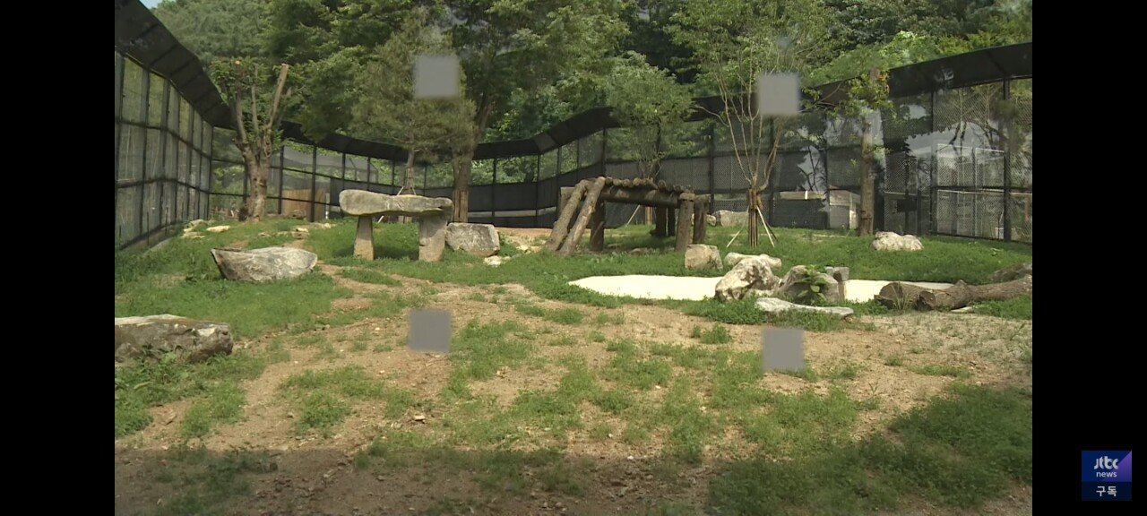 Screenshot_20230712_194046_YouTube.jpg 김해 학대 논란, 갈비뼈 사자 근황