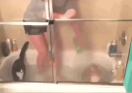 i013348283607.gif