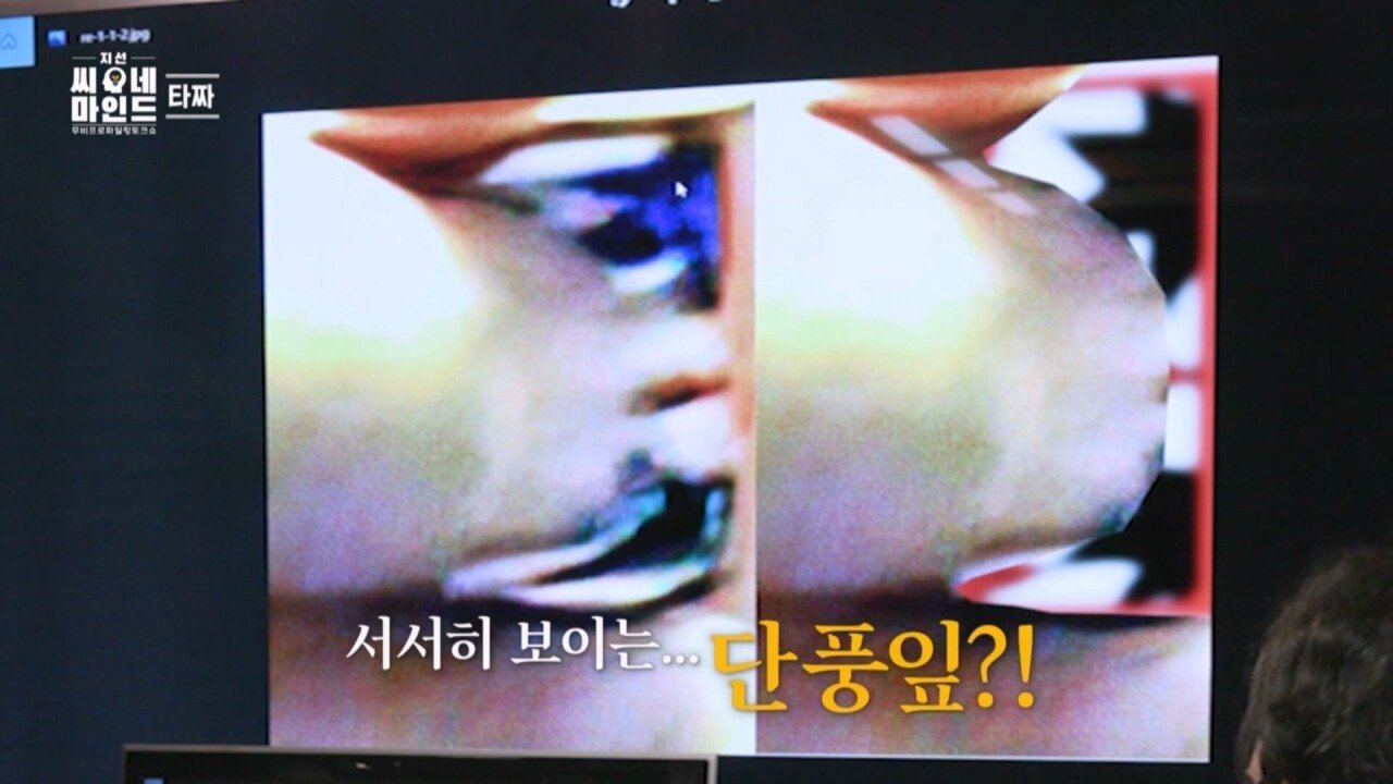 정마담이 아귀, 곽철용보다 무서운 진짜 이유는 지선씨네마인드 '타짜' (SBS 방송).mp4_20221008_214533.259.jpg 영화 타짜의 소름돋는 반전 영화 타짜의 소름돋는 반전...jpg