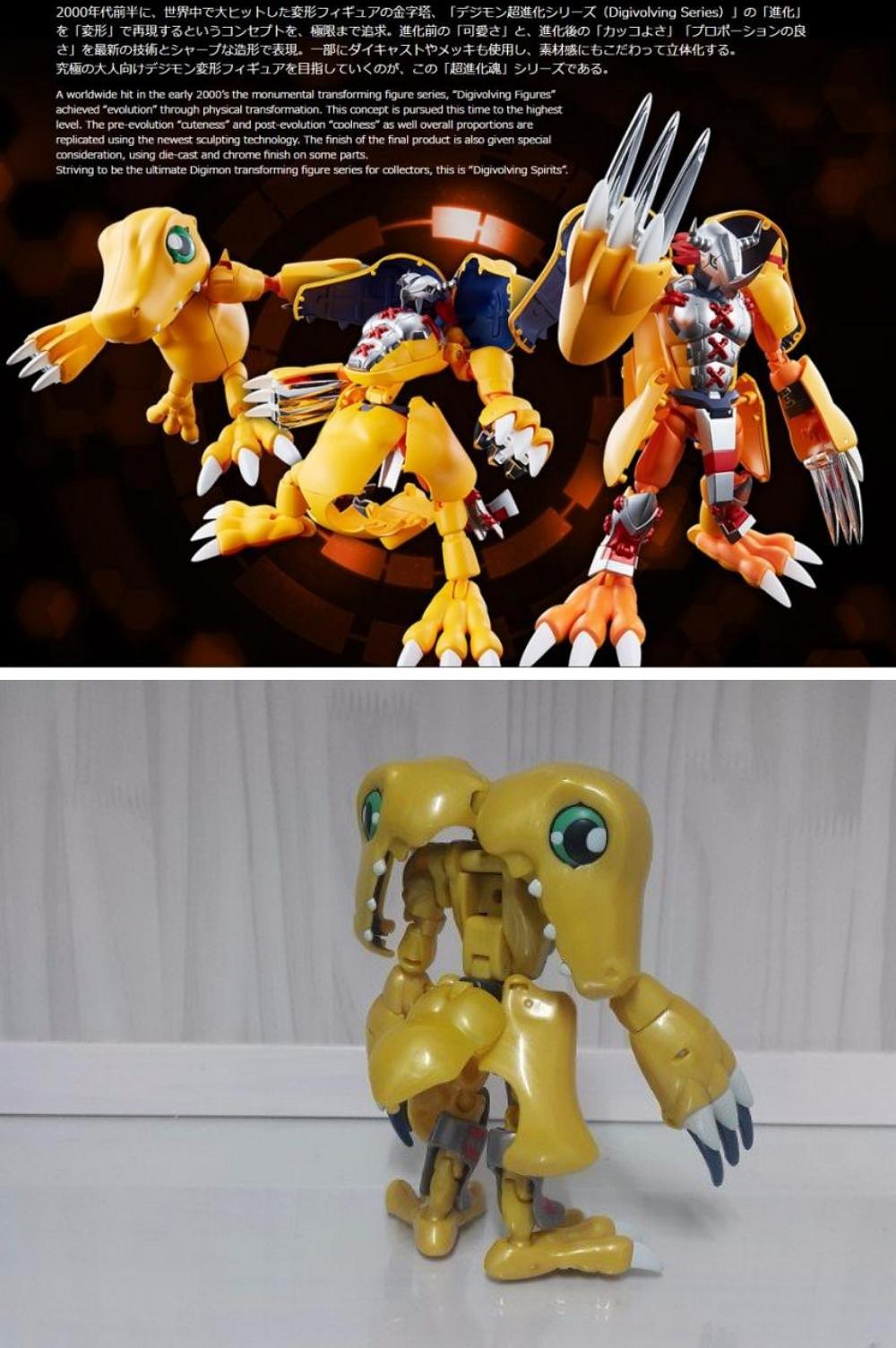 머리를 쪼개야 진화하는 디지몬.png.jpg
