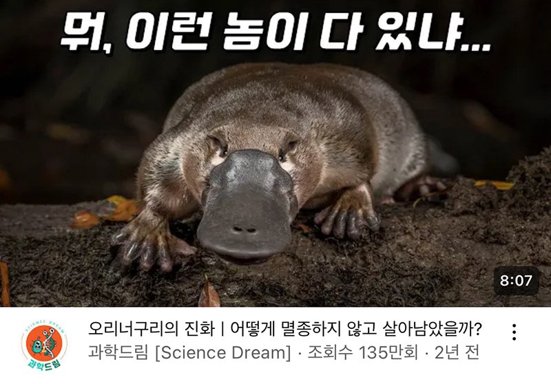 Internet_20231219_123607_8.jpeg 서인국이 혼술 할 때 본다는 유튜브 영상 ㄷㄷ...jpg
