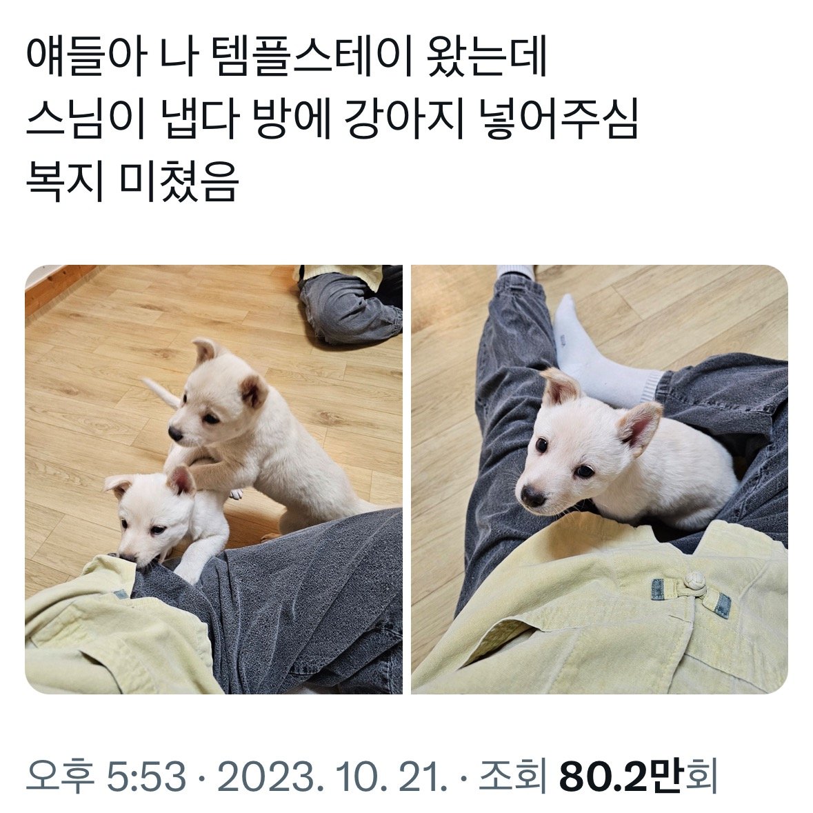 IMG_6174.jpeg 어느 템플스테이의 복지 수준 ㄷㄷ