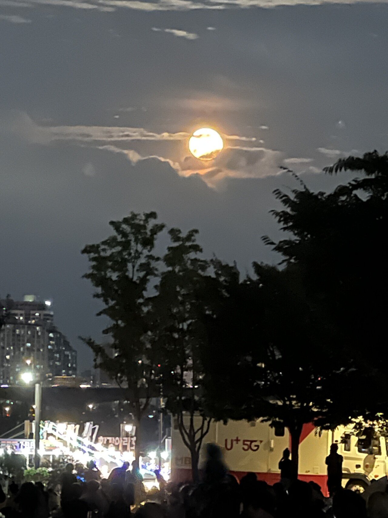 IMG_1609.jpeg 현재 여의도공원.live