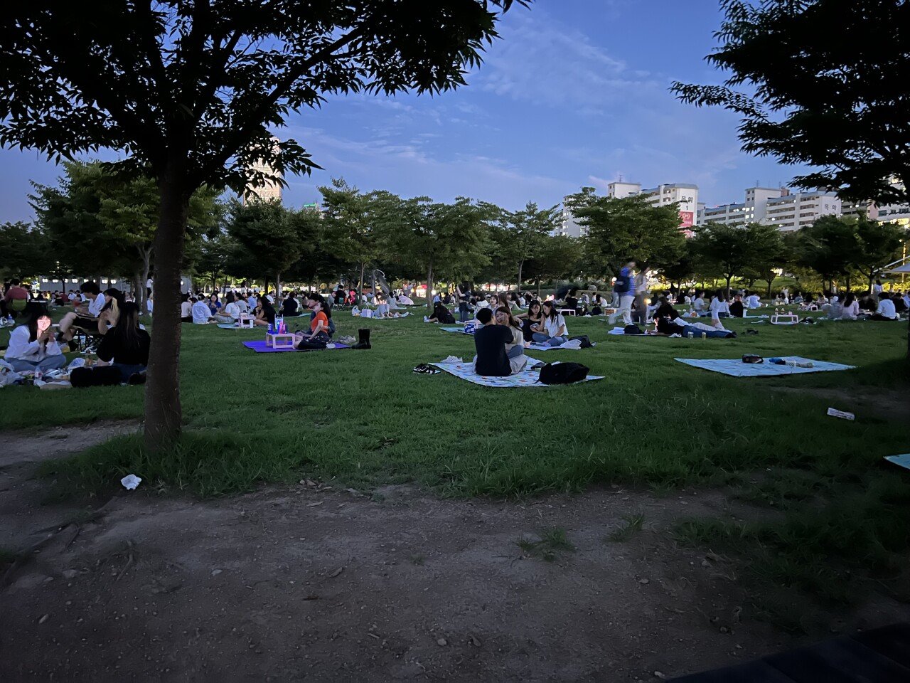 IMG_1606.jpeg 현재 여의도공원.live