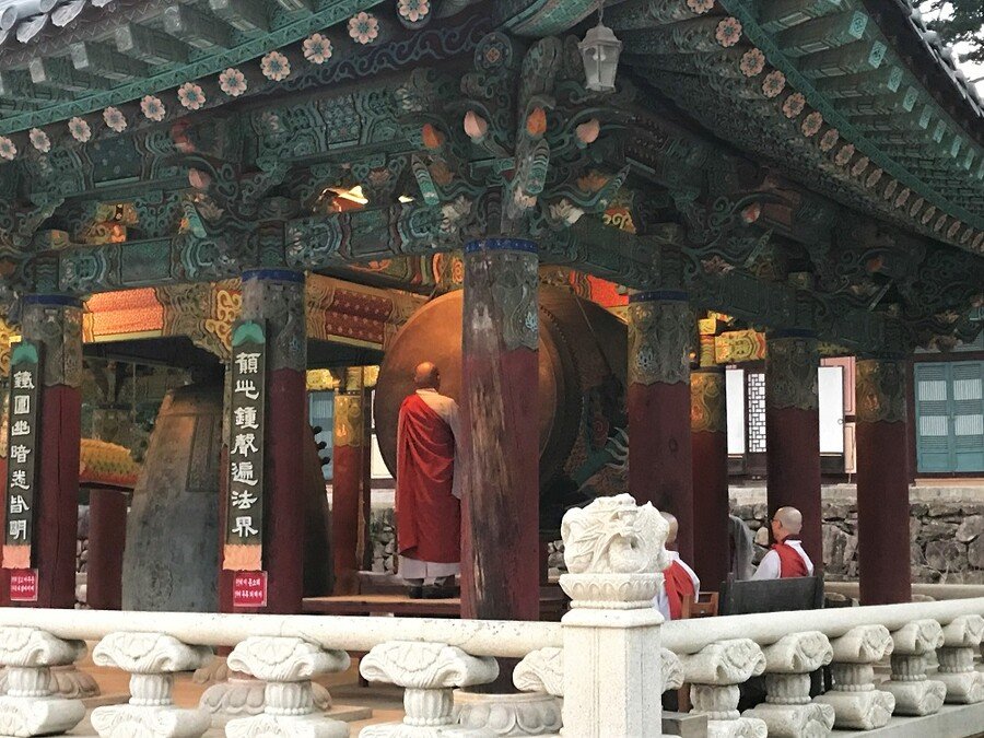 김짤.com_004.jpg