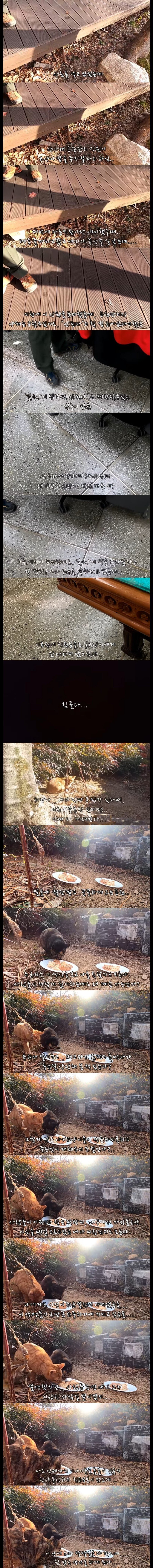 ZomboDroid 29122021085607_2.jpg