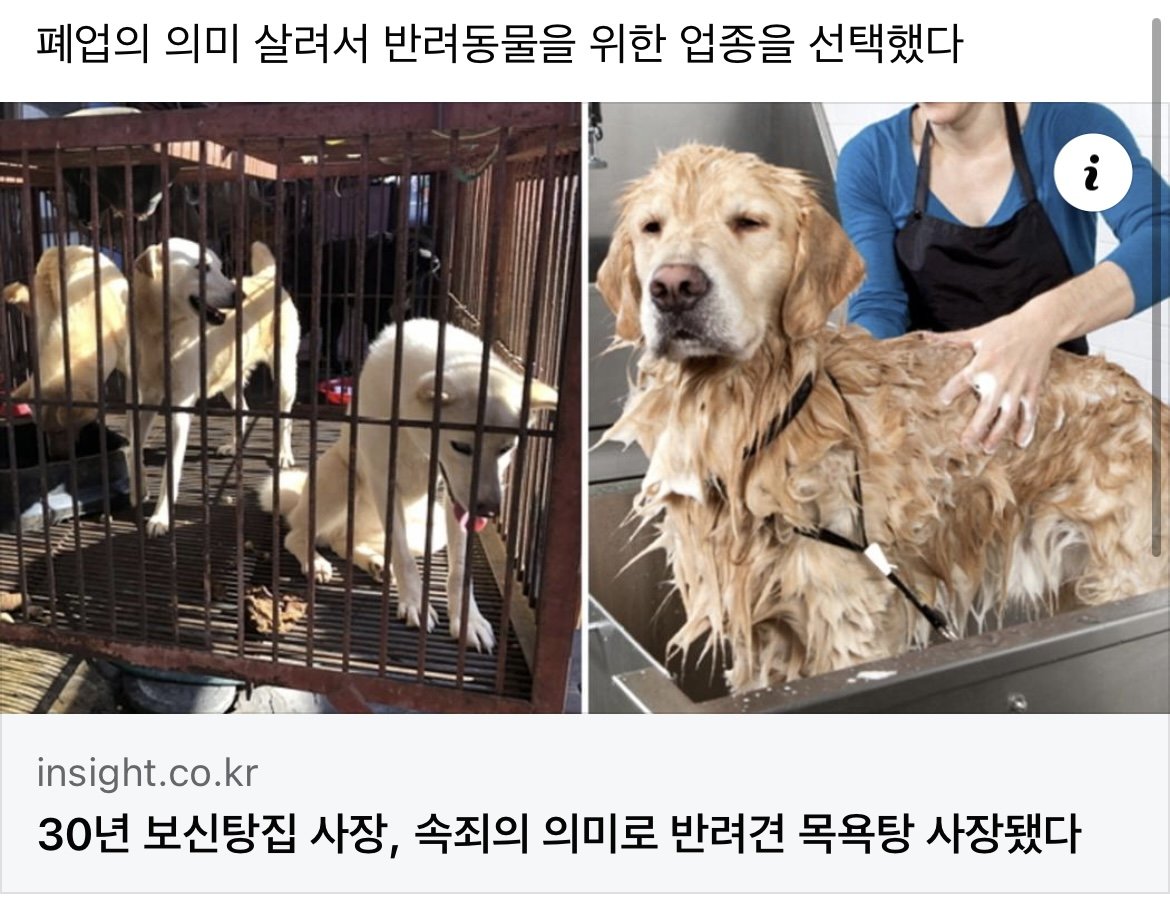 IMG_6041.jpeg 30년 보신탕집 사장, 속죄의 의미로 반려견 목욕탕 사장됐다.
