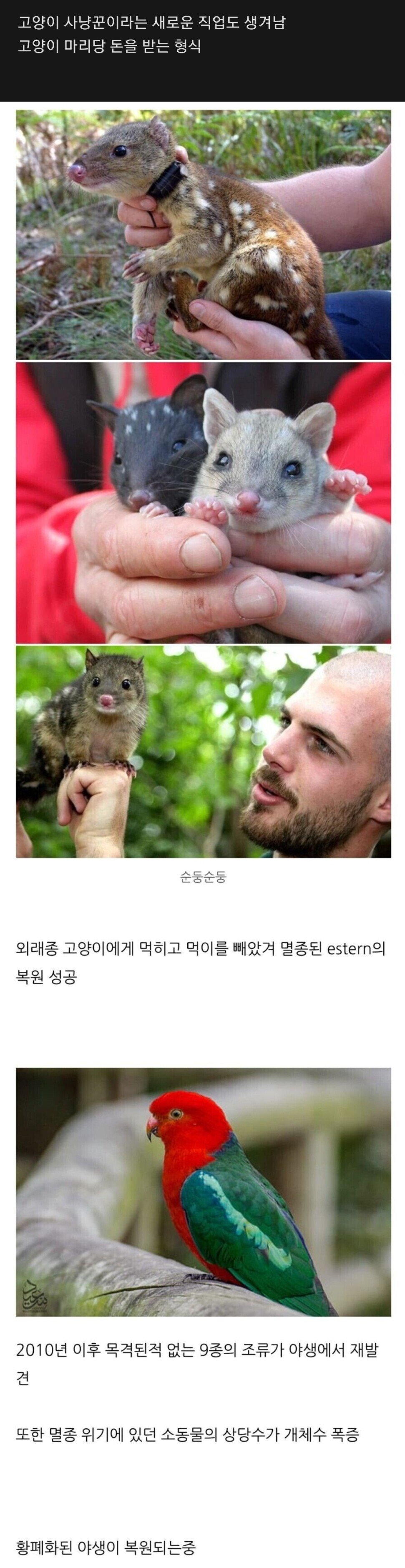 113.jpg