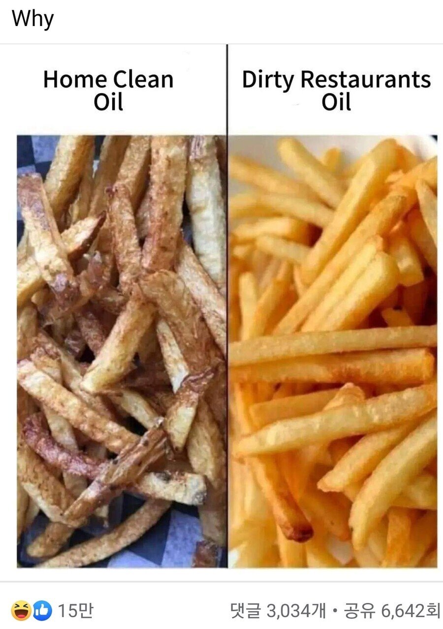 18b852a764b4ff3f6.jpg