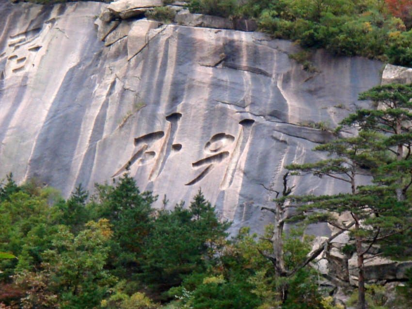 s005.jpg
