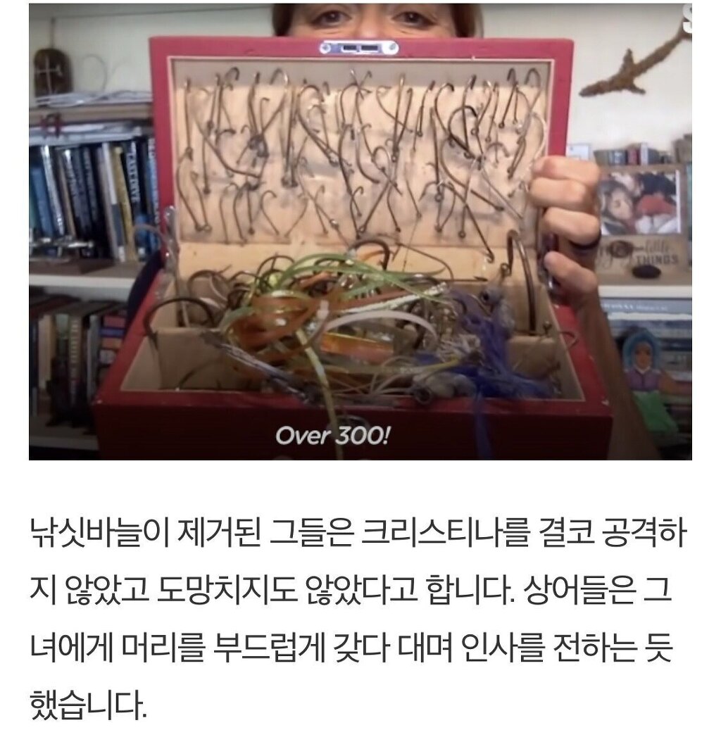 입속 낚시바늘 빼준 여성에게 몰려드는 상어들 - 꾸르