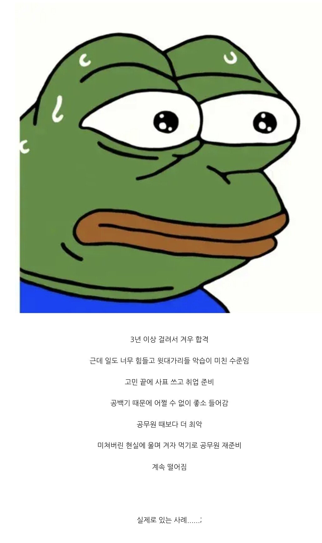 kk.jpg 공무원 준비하다 인생 말아먹는 실제 사례.jpg