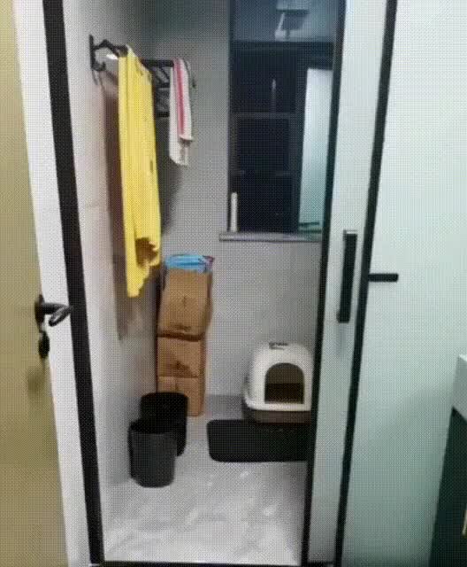 1.gif