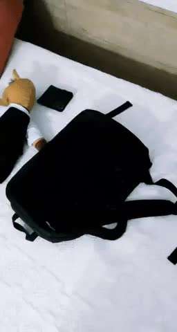 3.gif