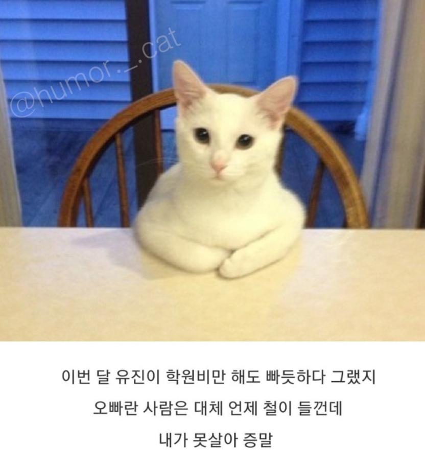1678352933.png.jpg