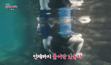 12.gif