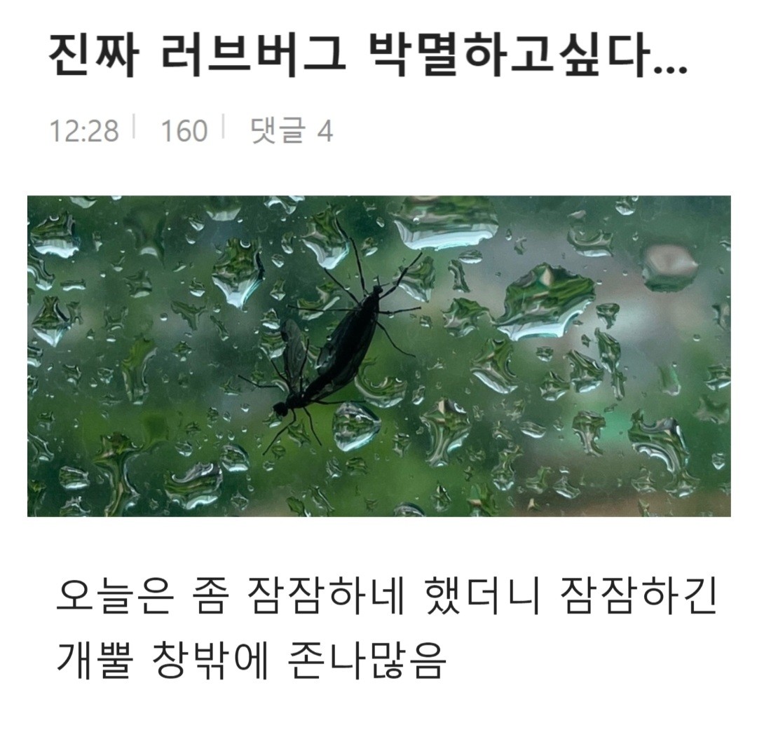 24post_012.jpg