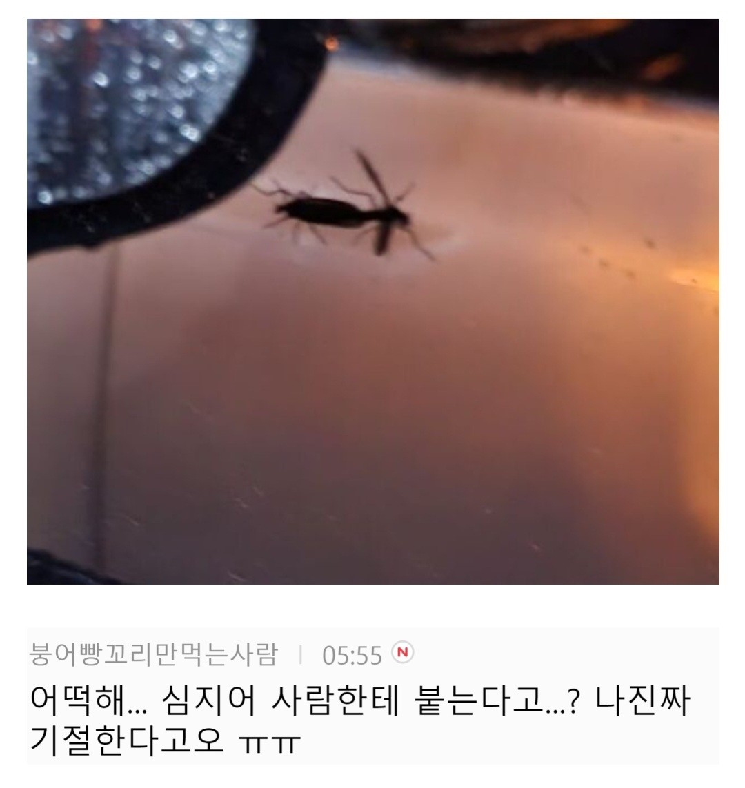 24post_008.jpg