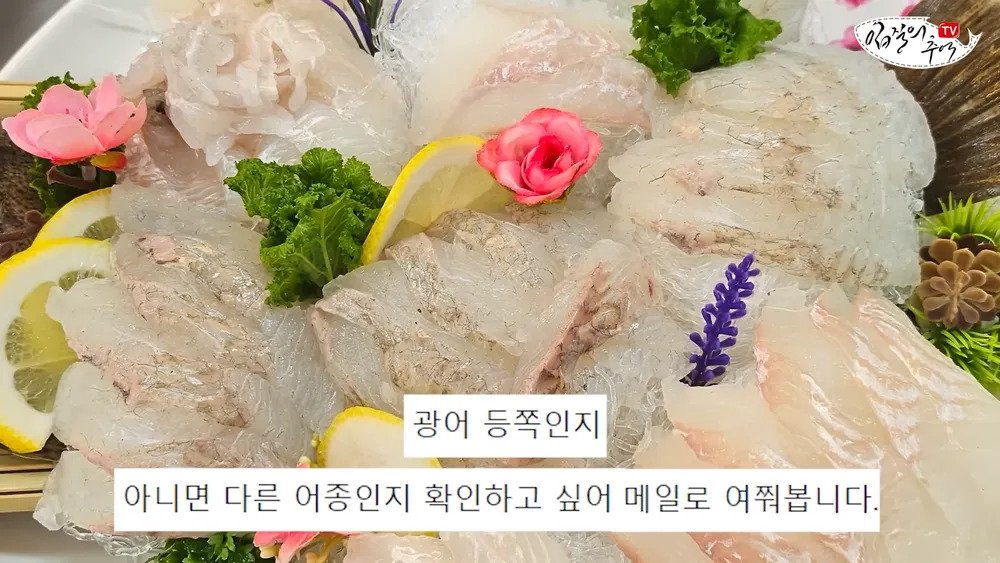 횟집에서 광어로 사기 안치는이유