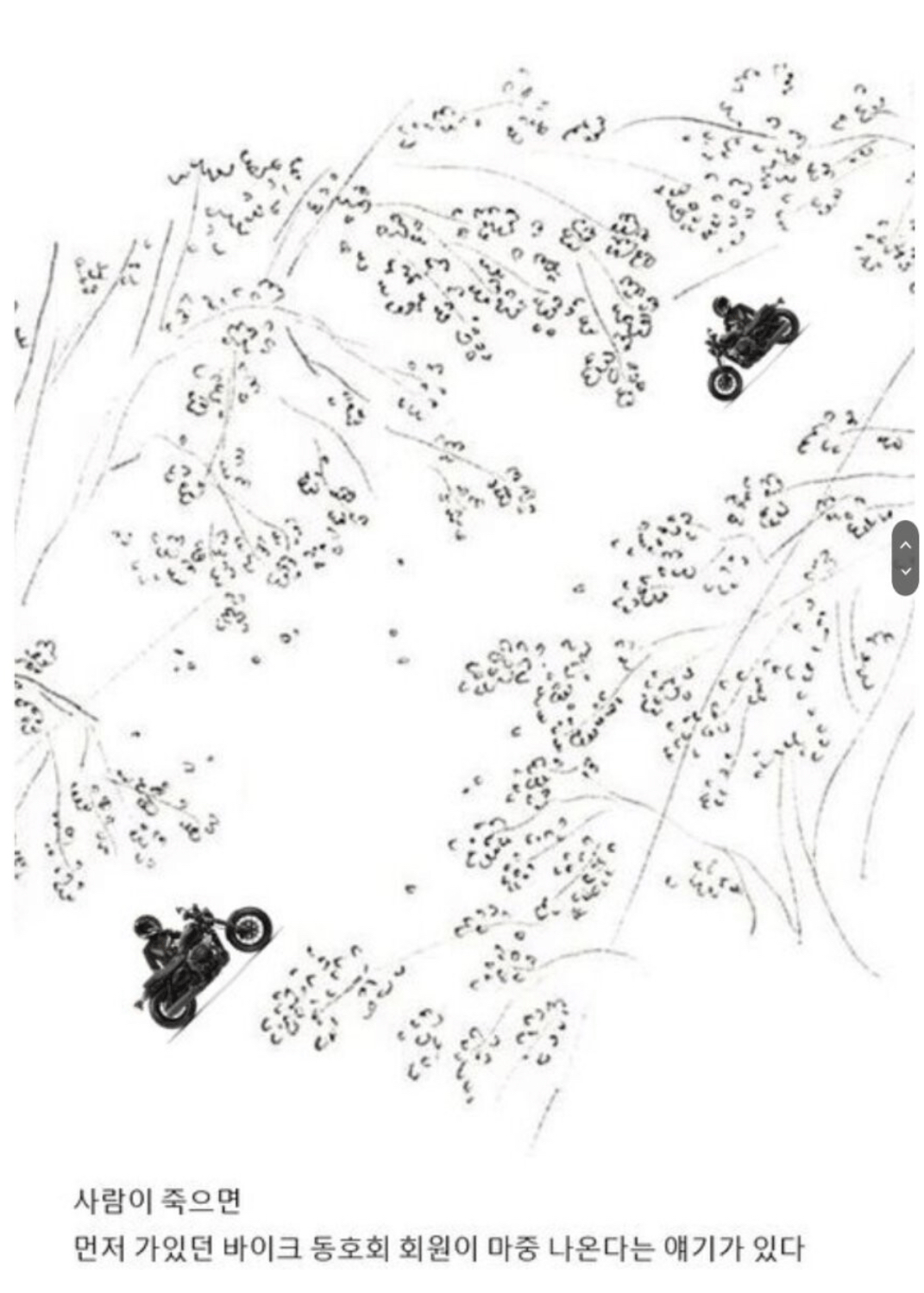 s002.png