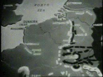 6e6fc752ae2012473d465843c39e147d.gif