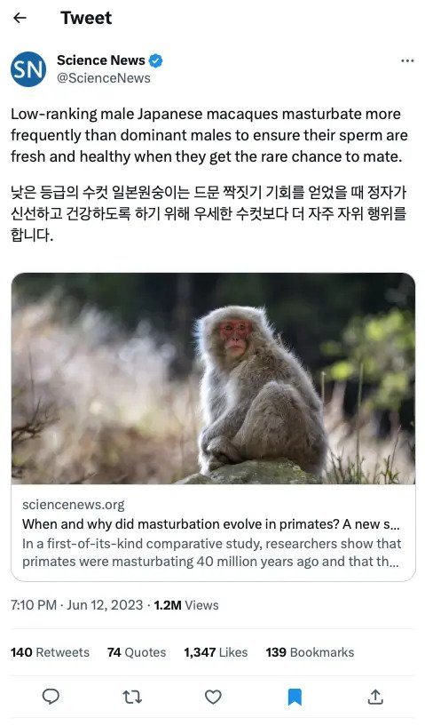 5454.webp.ren.jpg