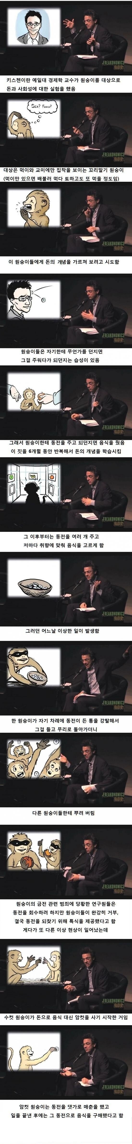 원숭이.jpg