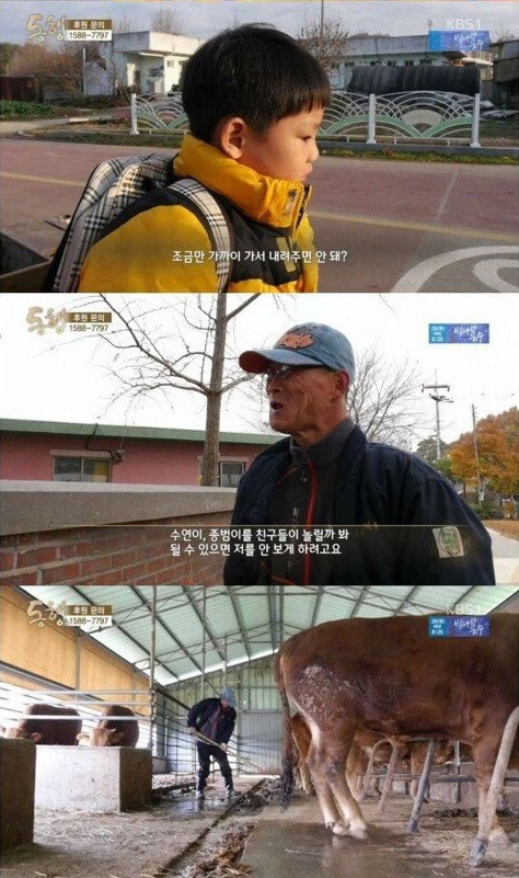 btddcdbc035c83be6ba20134d566095553.jpeg