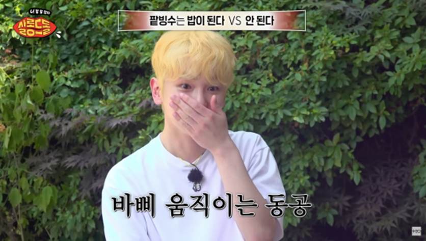 팥빙수 혼자 먹으면 밥이 될 수 있다 vs 없다 | 인스티즈