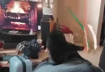 1627194706_b55cd6373860e0fedbb0727e817504bd.gif