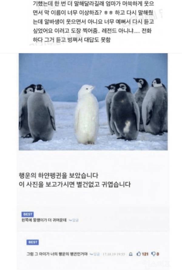 요즘 희귀해진 재능. jpg | 인스티즈