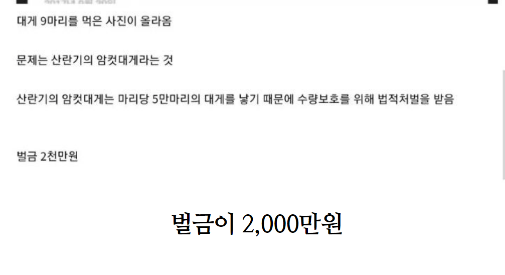 s013.png