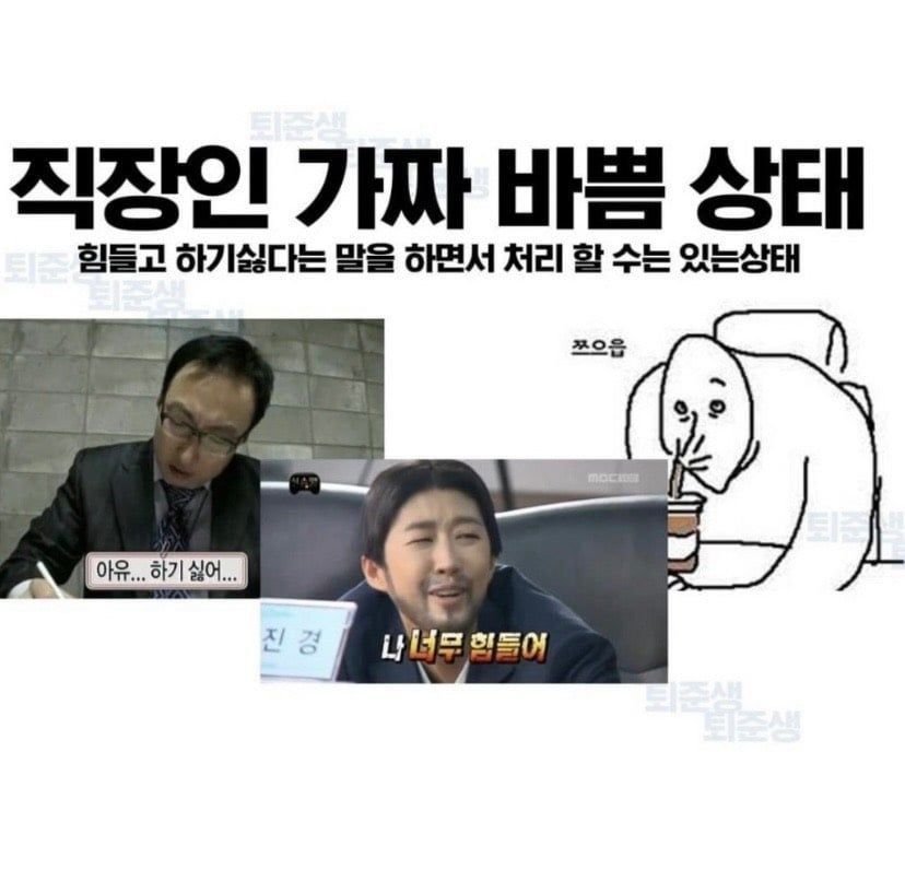 김짤.com_001.jpg
