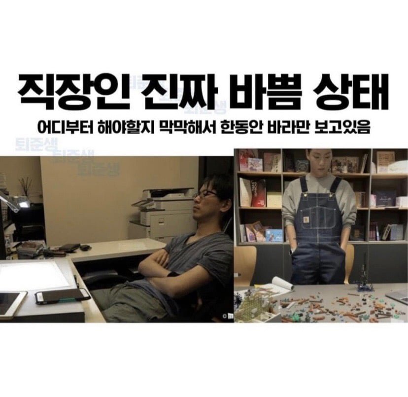 김짤.com_002.jpg