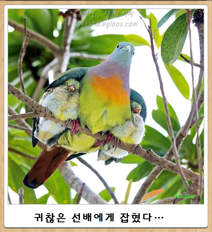 24post.co.kr_004.png