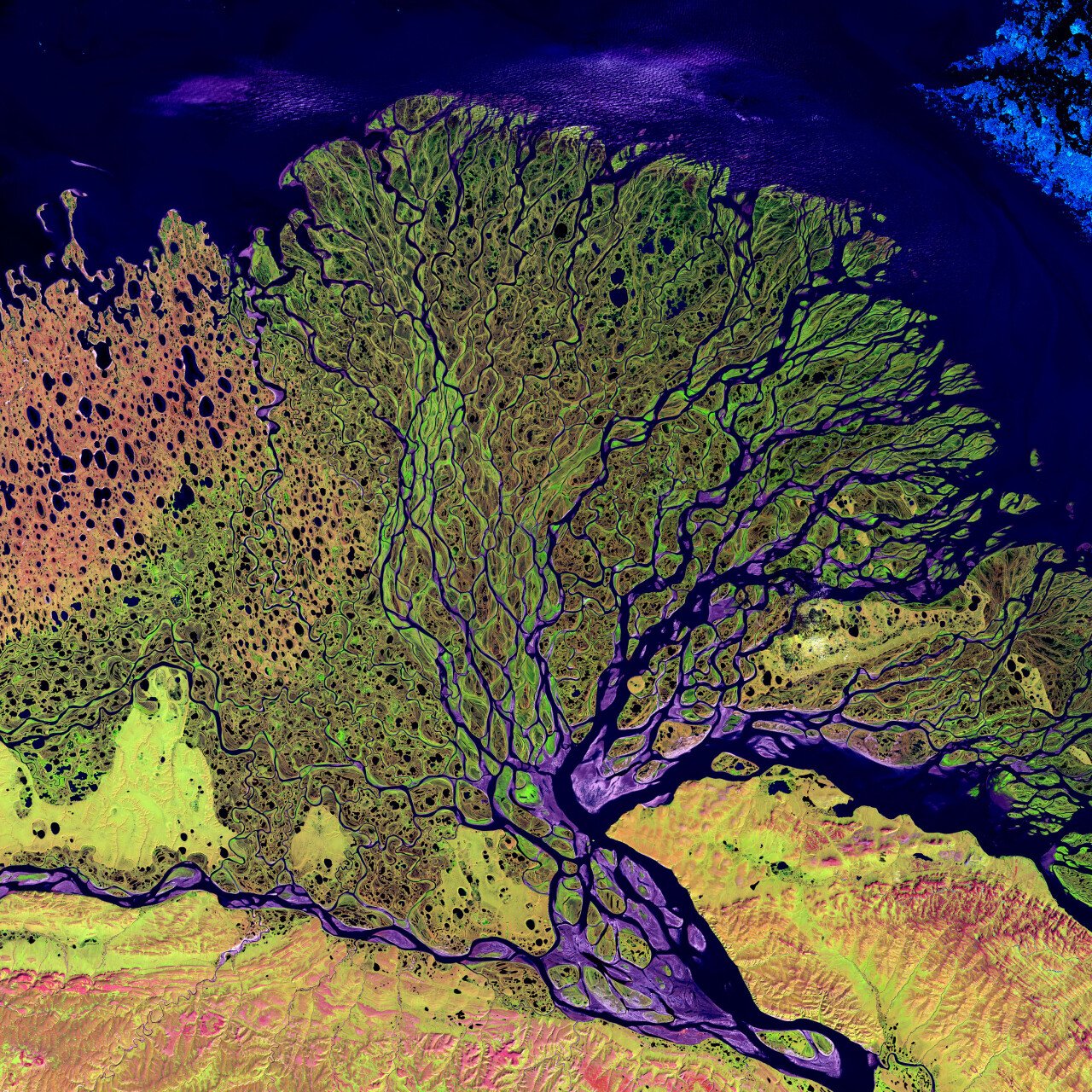 Lena_River_Delta_-_Landsat_2000.jpg 약혐?)레나 강 삼각주