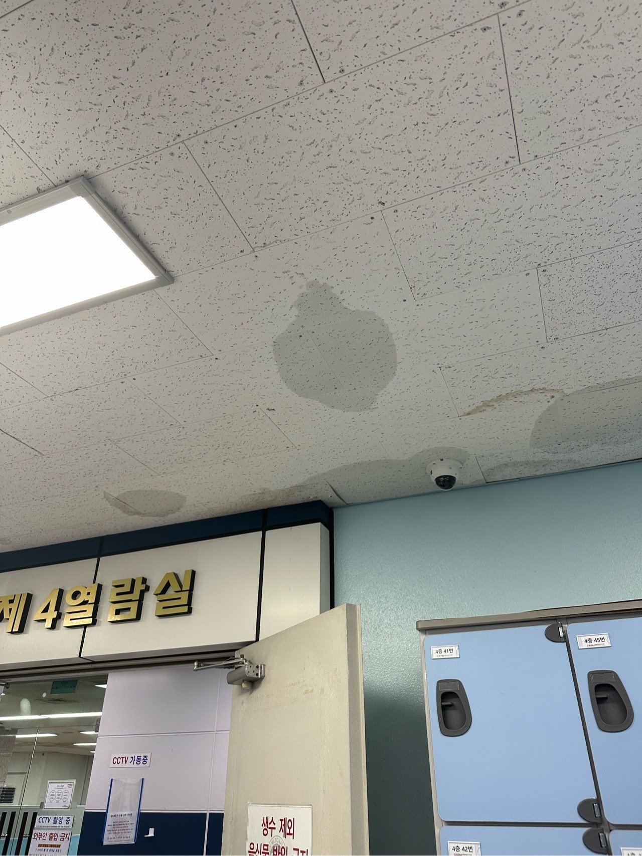 93407634224.jpg 누수 때문에 천장 무너진 대학교 도서관 근황.jpg