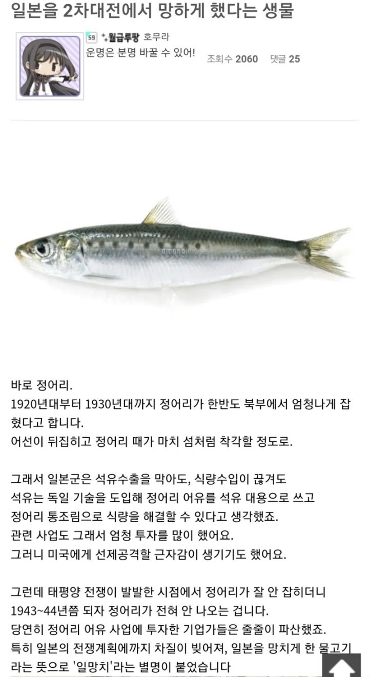 ggoorr.net_001.jpg