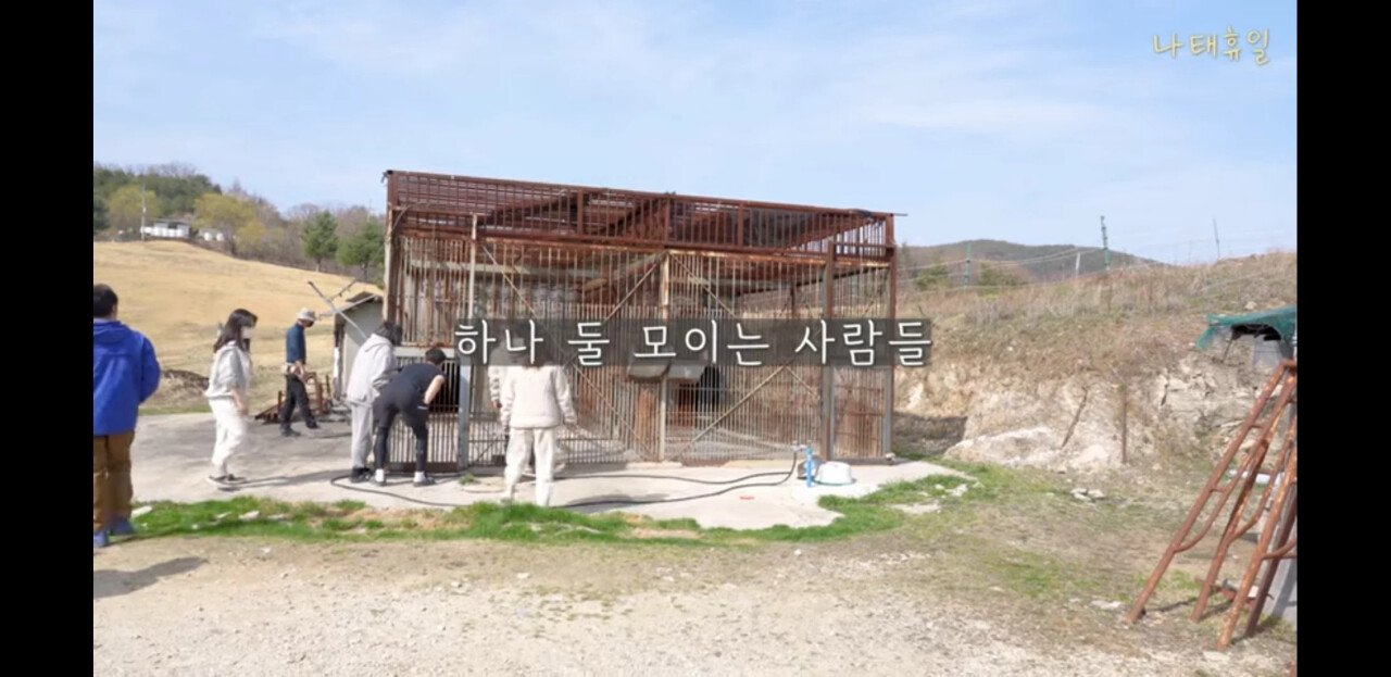 김짤.com_004.jpg