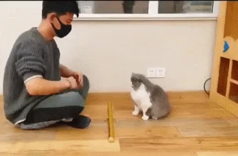 177627051ec4d26ac.gif