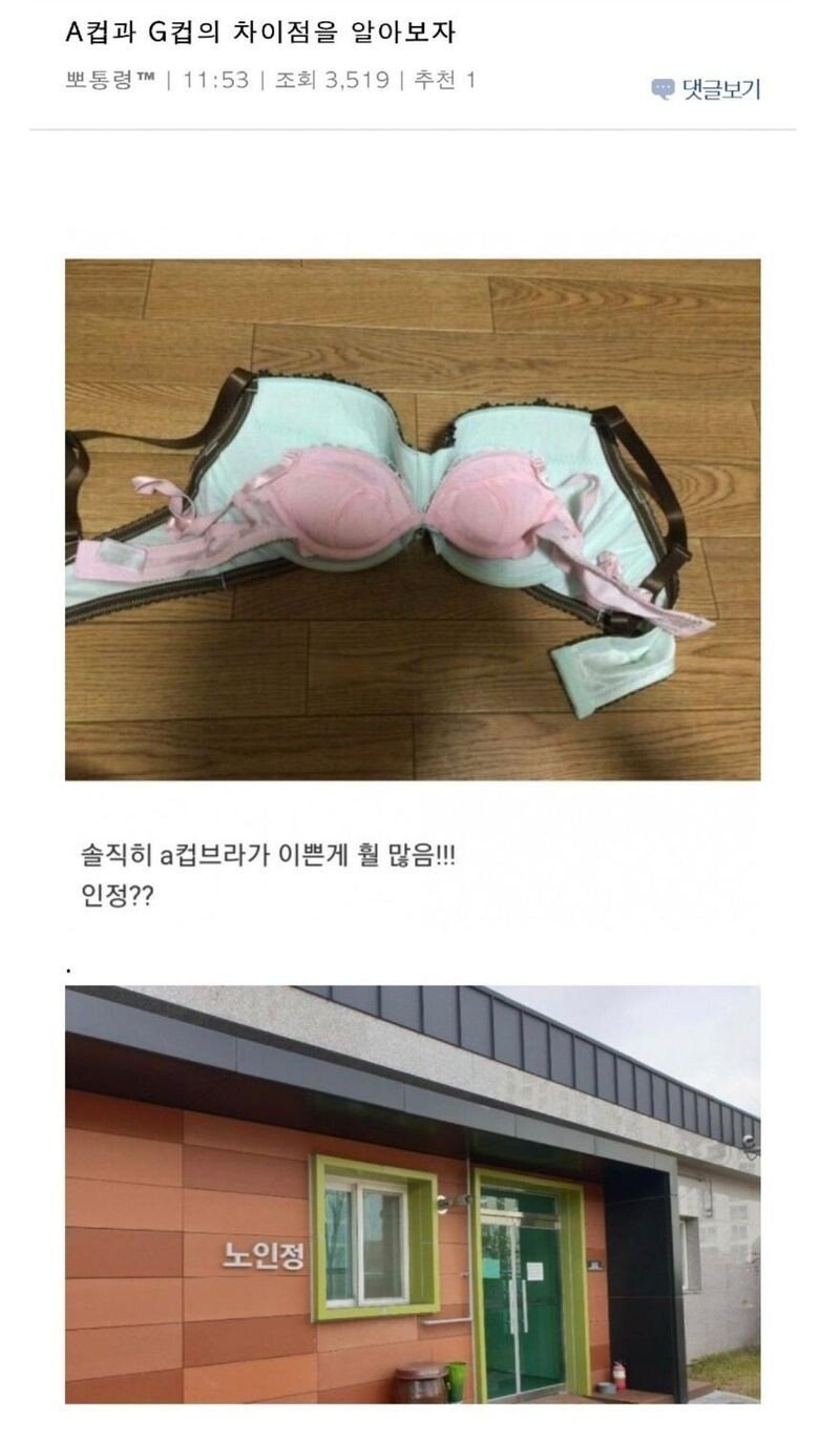 8B226AA6-A84F-4E52-B047-18ACEDB9AC2C.jpeg A컵과 g컵차이